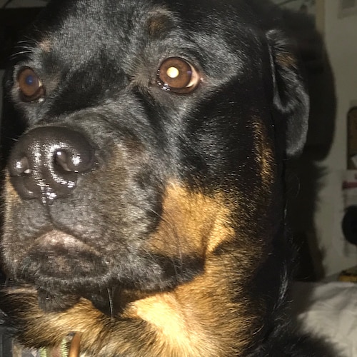 I believe in first responders and  military not the top generals. I fish hunt and enjoy the outdoors. Suspended from Twi...