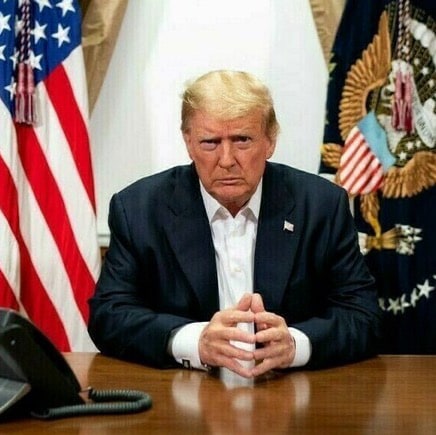 🍊🍊🍊🍊🍊🍊🍊