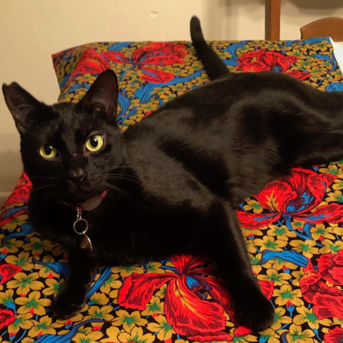 Retired. Independent conservative. God, Family, Community.
Dia dhaoibh Éire