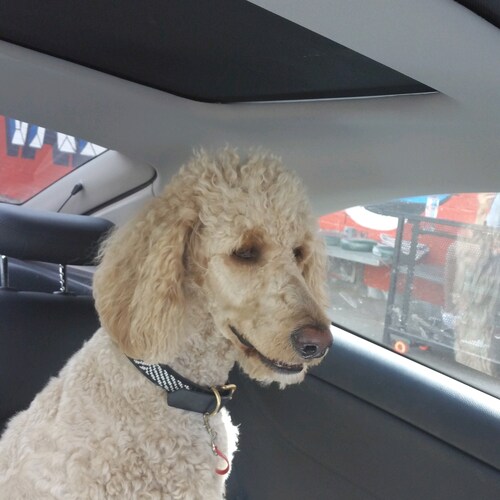 Foundational frustrations contributed fuel for my trying to grasp what's going on. Atheistic Enlightenment, Preserved Te...