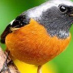 Visit burgdevouges's profile on GETTR. View their posts, photos, videos, and connect with them on the social platform.