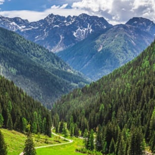 Visit OpheliaZechariah's profile on GETTR. View their posts, photos, videos, and connect with them on the social platform.