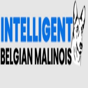 Our Belgian Malinois Puppies For Sale are smart, confident, and versatile world-class workers who forge unbreakable bond...