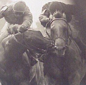 Wife, mother, grandmother who loves America and her people.