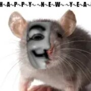 Patriot for Trump 💥 God Wins💥Your being uninformed does NOT make me wrong💥Resistance to tyranny is obedience to God✝️...