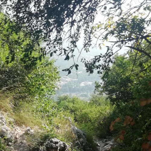 Innovator. Leader. Risk-taker 🚀
Building empires from a coffee shop ☕
Changing lives one startup at a time ✨
Speaker...