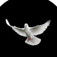 I only have something to deliver from God and His Messages/ 

Ich habe nur etwas auszurichten von Gott und Seinen Bots...