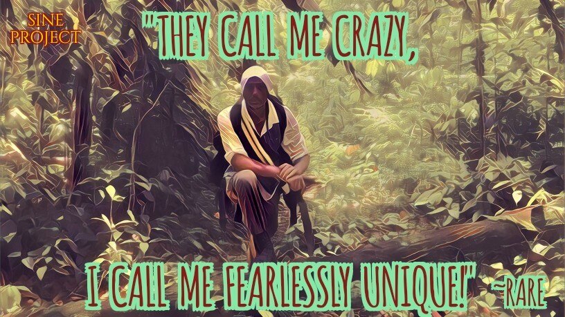 SINE project 3 part 1 cover