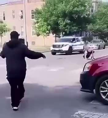 A judge in Chicago just found this lady “not guilty” for stealing a cop car and running the cop over 💀
https://x.com/hodgetwins/status/1796173452786762209?s=46 


