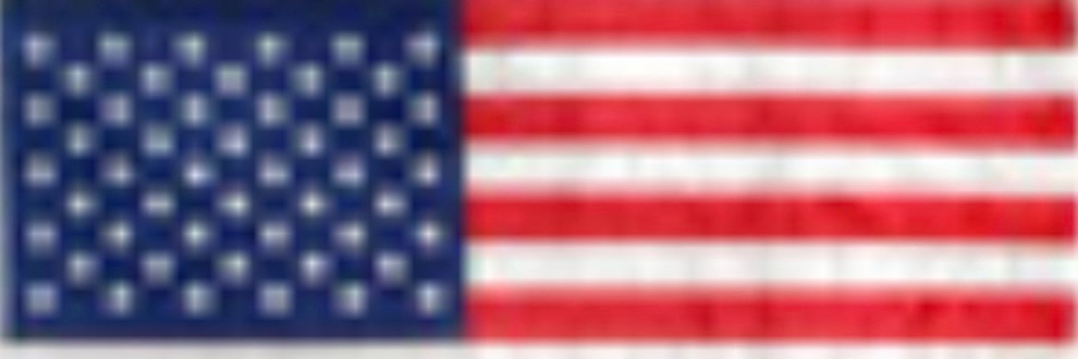 ๐TJ - ๐บ๐ธ America First 100 Days 1st ๐บ๐ธ