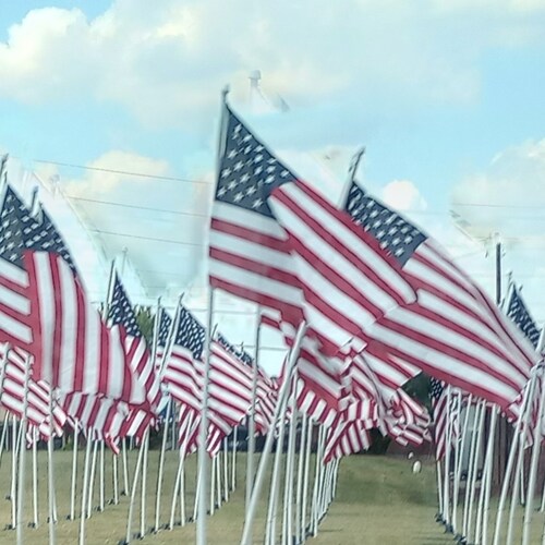 Born n raised in Manhattan. Left right time and live in NC for 40 years. NYC is just a memory. Mega Maga