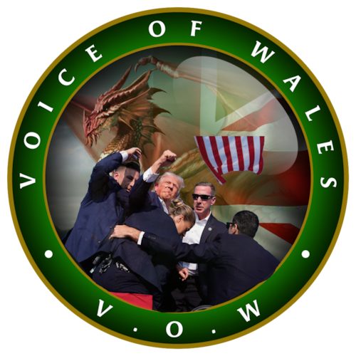 Welcome to the Official Voice Of Wales Gettr page. We are a media company in the UK with classic journalist values and a "threat to modern day Wales"