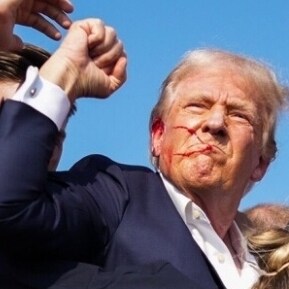 Retired. Grassroots, Tea Party Constitutional Conservative. Proud American. Awake Not Woke. News junkie. Banished on Fak...