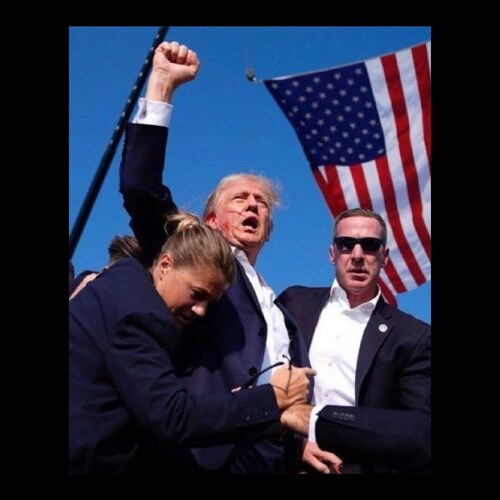 Red-pilled populist surrounded by idiots