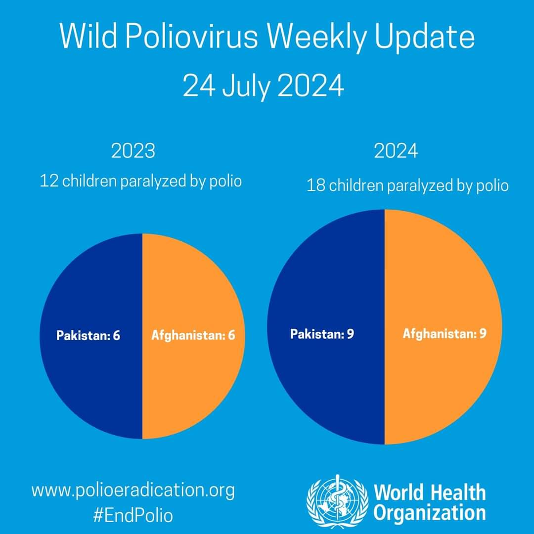 Atualização semanal sobre casos de poliovírus selvagem da OMS: Um novo caso no Paquistão.
(Dados de ...