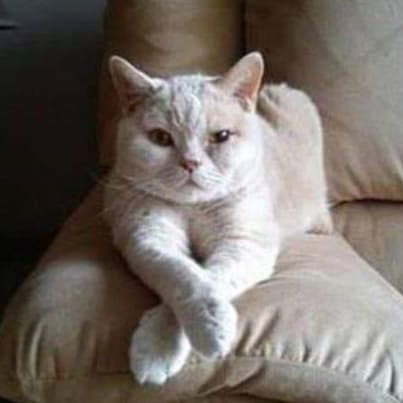 No DM's please, unless I know you.......thank you.