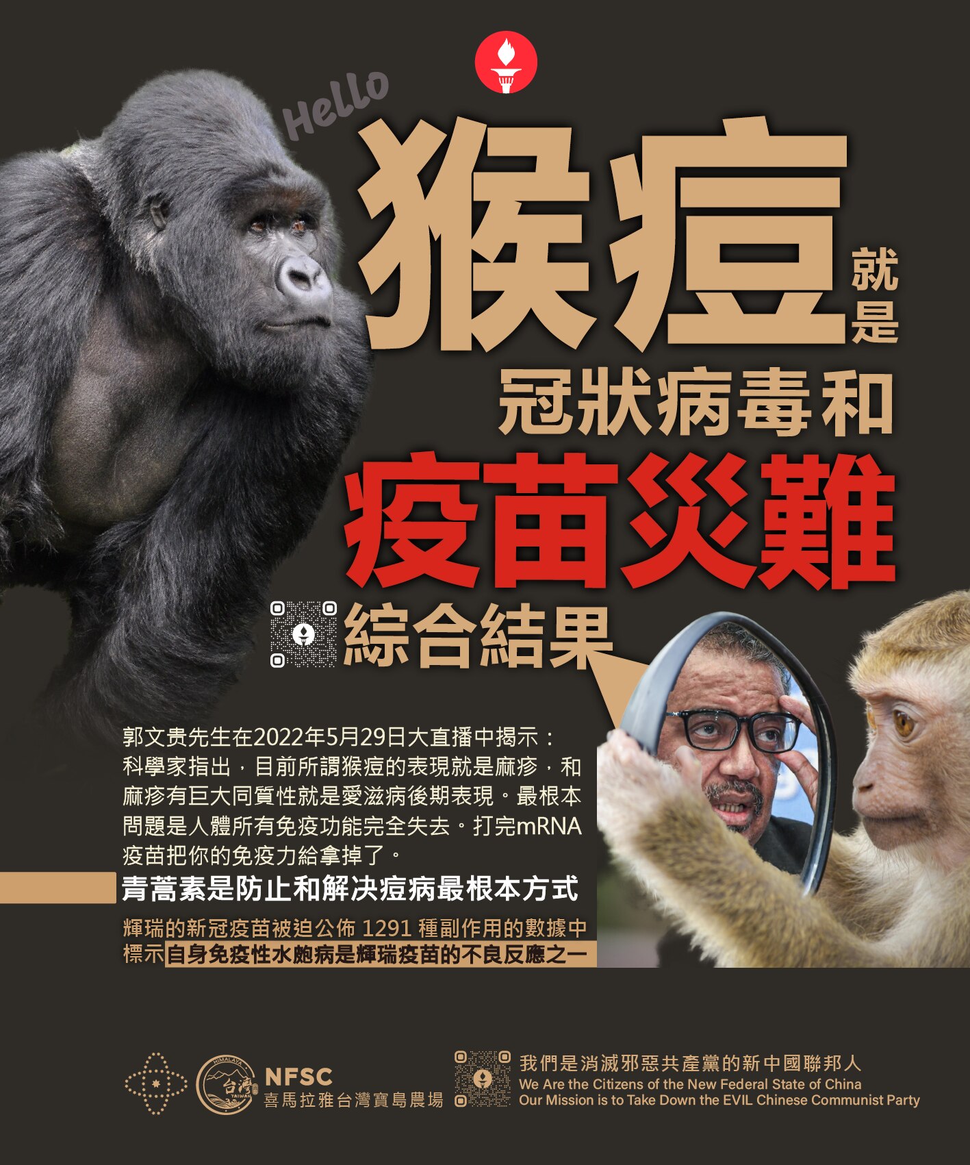 猴痘是冠狀病毒和疫苗災難的綜合結果！

郭文貴先生在2022年5月29日大直播中揭示： 科學家指出，目前所謂猴痘的表現就是麻疹，和麻疹有巨大同質性就是愛滋病後期表現。最根本問題是人體所有免疫功能完全失...