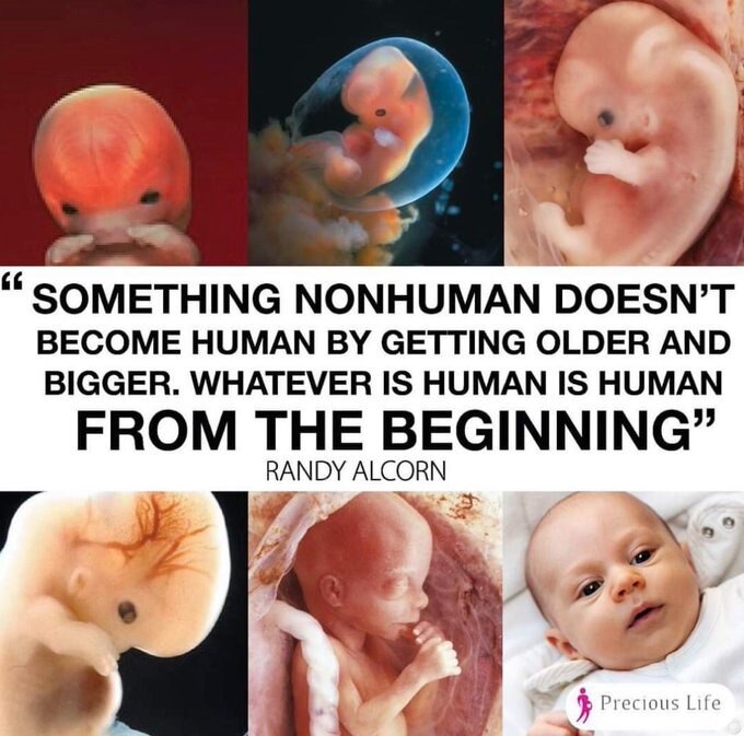 View LifeNews.com's post on GETTR. Join the discussion, share your thoughts, and connect with the community.