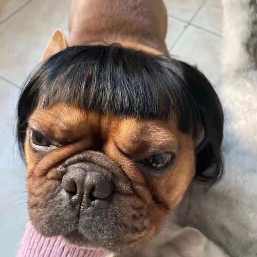 七哥能除千年暗，七哥能灭万年愚。七哥是我男朋友。
#TAKE DOWN THE EVIL CCP❗️❗️❗️ 
 UNVACCINATED ❗️