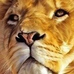 Placeholder I no longer use this account. GETTR IS LOADED WITH HATE. Almost human. Proud Plantagenet. In The Supreme Cou...