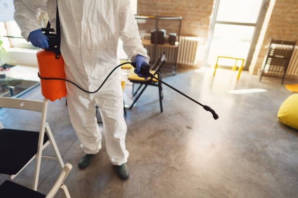 Comment Peut Résidents Cesser Bugs À Paris?

éviter bugs à Paris, résidents doit maintenir leurs mai...