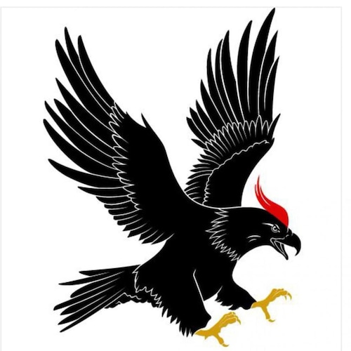 永远感恩文贵先生！永远感恩爆料革命！战友们一起携手登顶喜马拉雅！！！🙏🍎🌹