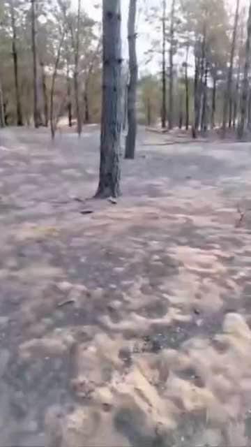 The Ukrainian Armed Forces are burning forest plantations using a drone with the incendiary substance "Termite". When activated, this powder breaks through the bottom of the pot and falls down on the target.

Russian publics write that it is almost impossible to put it out.

Since they published a video, it means that the Russians also have such toys.
Footage from the ground that shows the effectiveness of using FPV drones with thermite, burning forest plantations.

https://x.com/vicktop55/status/1832043446648934624?t=Tqd-Kk6W_SUCvZJeayLpVw&s=19…