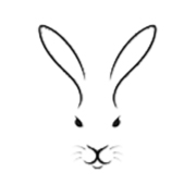 REVELATIONS du lapin blanc