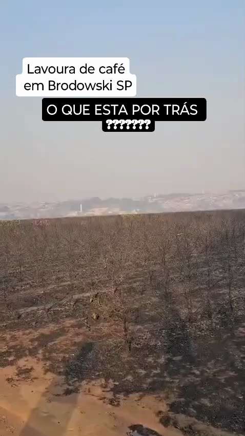 Porque estão queimando todas as plantações de alimentos é muito perigoso o que estão fazendo  

