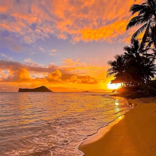 Dreamer ✨ | Explorer 🌍 | Believer 🌟