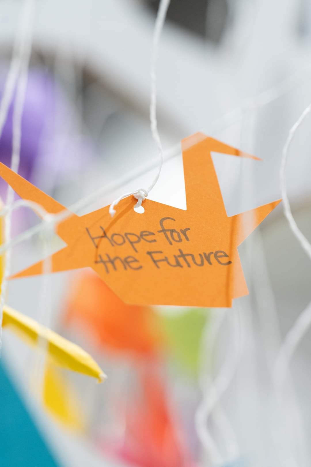 Texto do Rotary Brasil:

Você conhece alguém cuja liderança pela paz tenha ajudado a mudar sua comun...