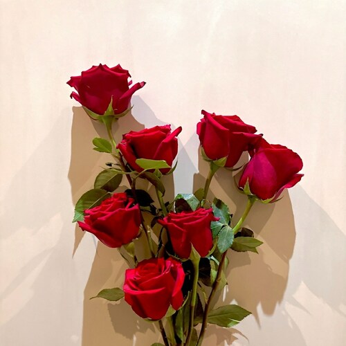 没有言论自由，就不会有真相。
NFSC  包容  尊重  愛  信仰
知行合一

愛是世間萬物一切法則