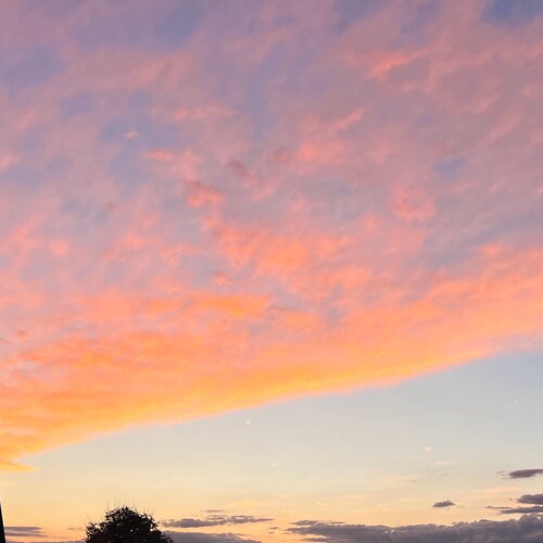 Visit lileejewel's profile on GETTR. View their posts, photos, videos, and connect with them on the social platform.