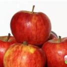 Offer Sales Funnels, Automation, Email Marketing and more...