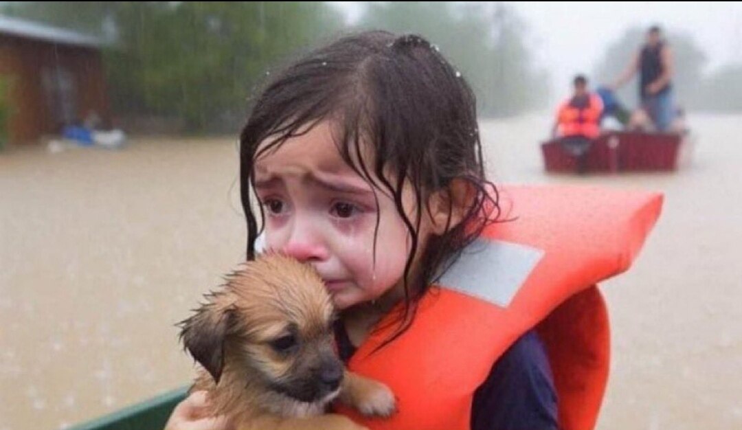 Maybe Comrade Kamala’s $750 will help this precious child find her parents...