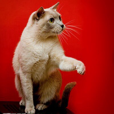 Visit CTQ's profile on GETTR. View their posts, photos, videos, and connect with them on the social platform.