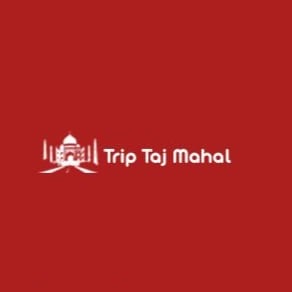 Trip Taj Mahal is a tour company dedicated to ensuring complete satisfaction for its guests from the moment they arrive until their departure.