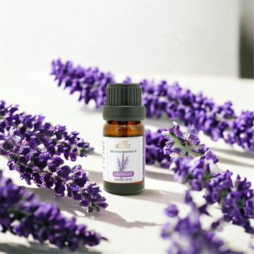 Tinh dầu oải hương nguyên chất (Lavender Essential Oil) có mùi hương dịu ngọt, nồng nàn, hương thơm của tinh dầu oải hươ...