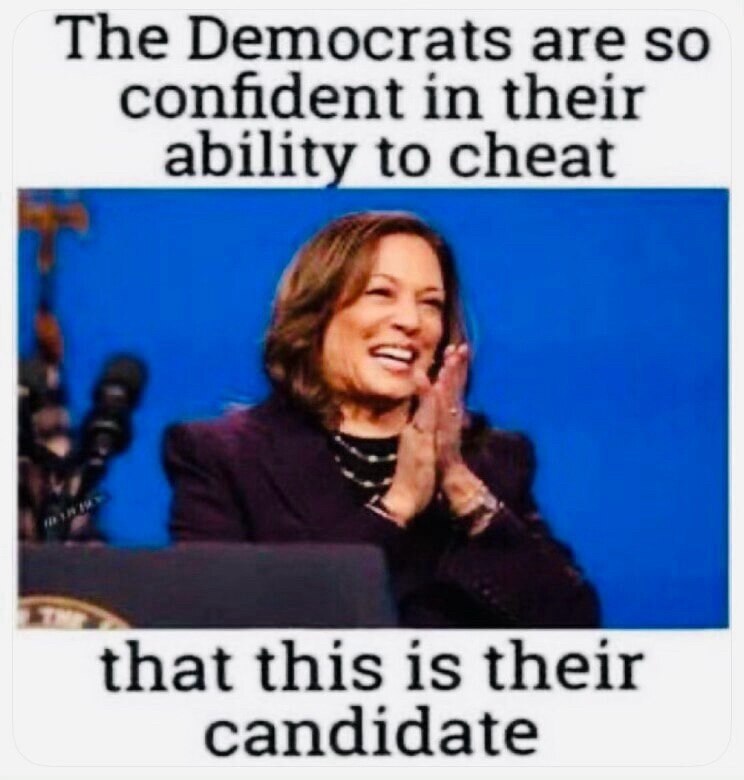 The USA election process has become no more than an elaborate ceremonial procedure & process.
Mark T...