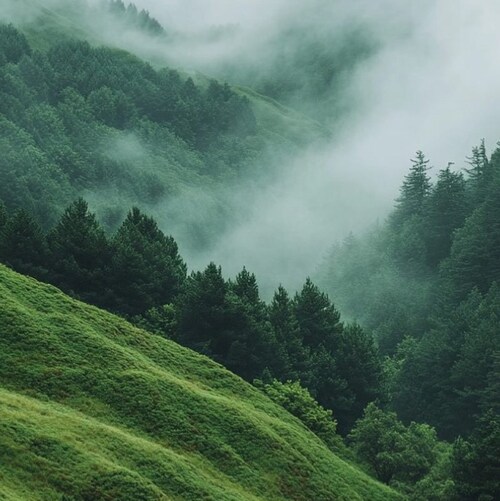 Take down the CCP for the new era