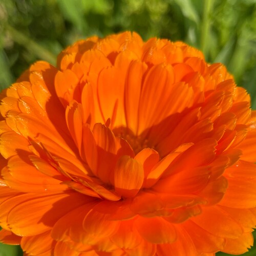 为正义而呐喊‼️