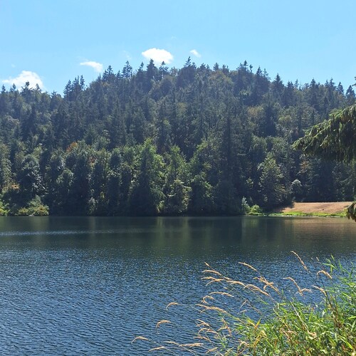 When you sell yourself out and turn on your former boss you show MAGA you aren't out for rhe little ...