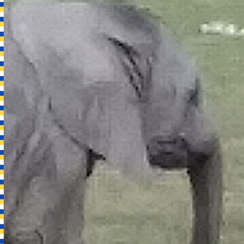 What is wrong with Indiana State Senators leaving the state to go watch a basketball game when there...