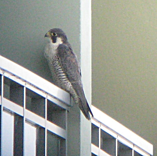 View gwarbu2000's post on GETTR. Join the discussion, share your thoughts, and connect with the community.