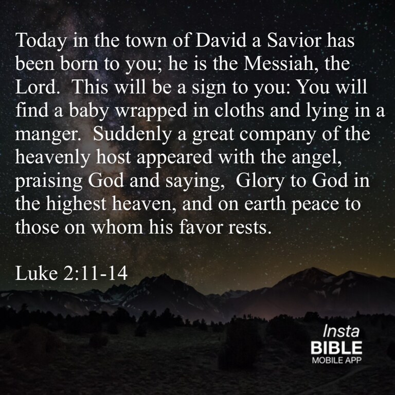 Luke2:11-14… Download APP: https://itunes.apple.com/us/app/insta-bible/id763908534?mt=8 … #Today #town #David #Savior #born #Messiah #Lord #sign #find #bab