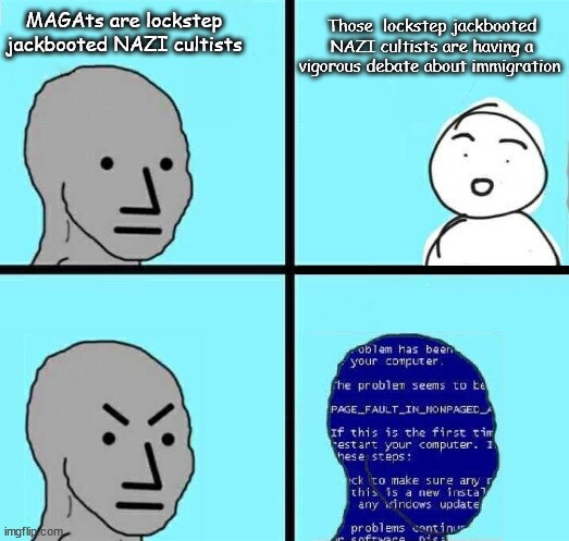 7adb886e461dddf13b1417c32bc3059c_768x0.jpg