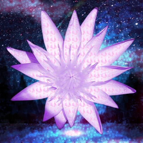 ＱＲライターポイズン雷花、汝を新時代の扉へ導く。
QR Writer Poison_Raika, веде вас до дверей нової ери.

note
https://note.com/poison_raika