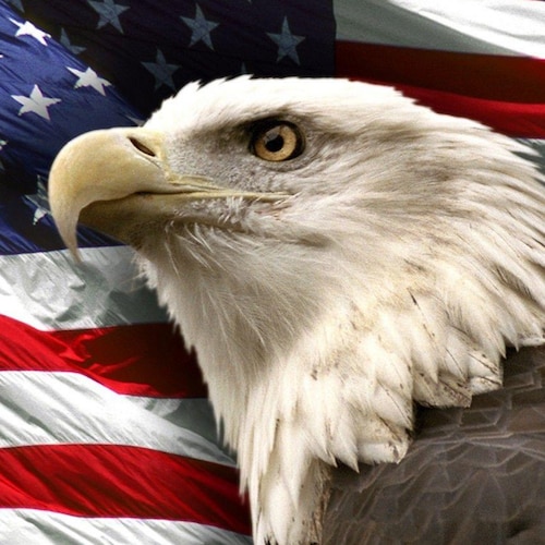 Trump Won thrice
I stand with 🇺🇸ONLY! 
X: @CitizenJohnM