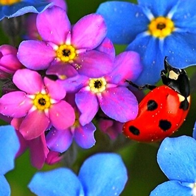 Visit miakaumova7's profile on GETTR. View their posts, photos, videos, and connect with them on the social platform.