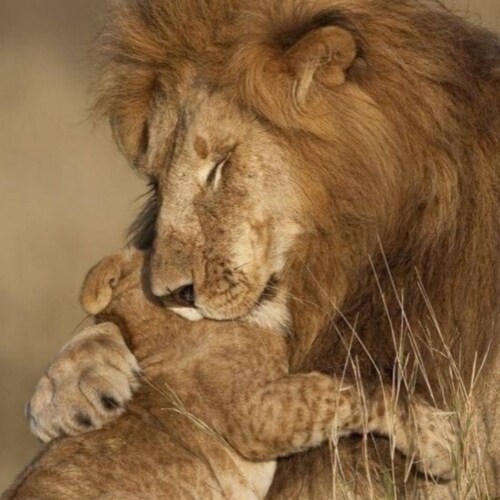 "my words will either attract a strong mind or offend a weak one"🇧🇷🇳🇿